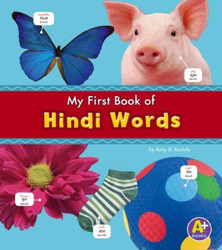 Hindi Words (A+ Books: Bilingual Picture Dictionaries) (English and Multilingual Edition) by Kudela, Katy R.
