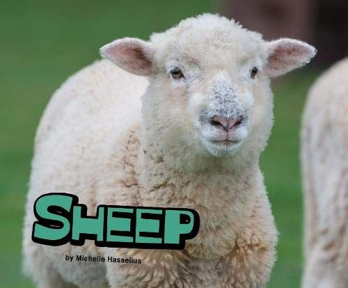Sheep (Pebble Plus: Farm Animals) by Michelle M Hasselius