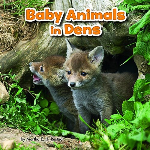 Baby Animals in Dens (Little Pebble: Baby Animals and Their Homes) by Martha E H Rustad