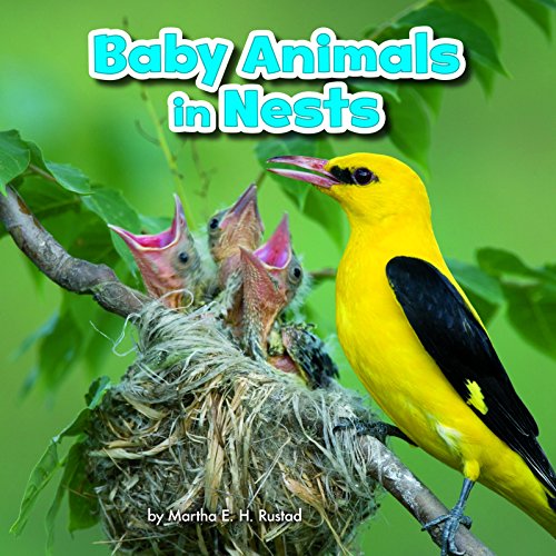 Baby Animals in Nests (Little Pebble: Baby Animals and Their Homes) by Martha E H Rustad