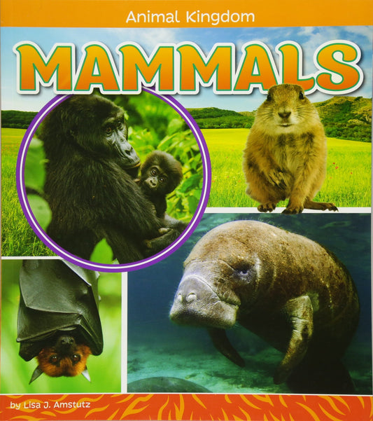 Mammals by Lisa J. Amstutz