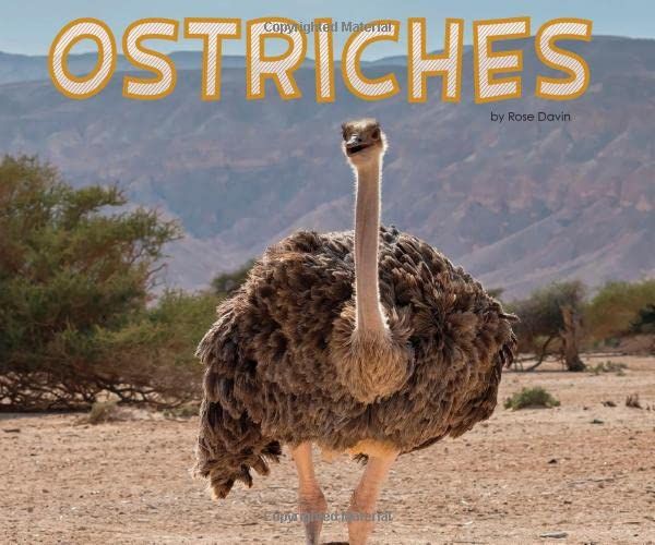 Ostriches by Rose Davin
