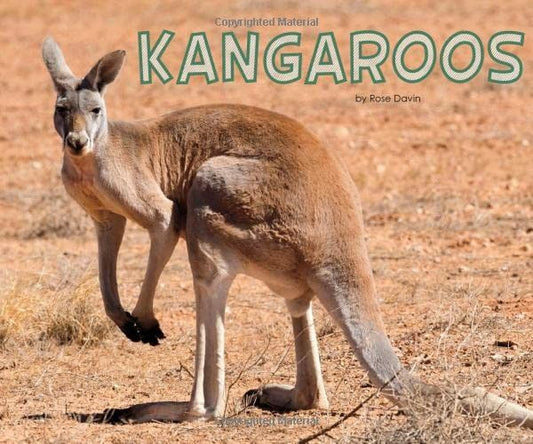 Kangaroos by Rose Davin