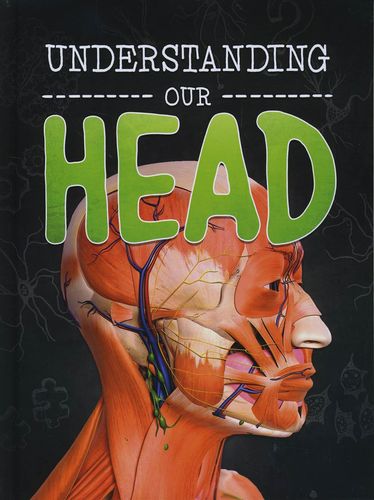 Understanding Our Head by Lucy Beevor