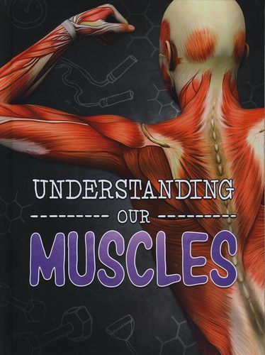 Understanding Our Muscles by Lucy Beevor