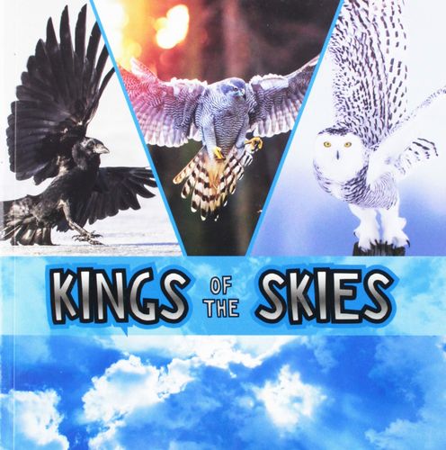Kings Of The Skies by Rebecca Rissman