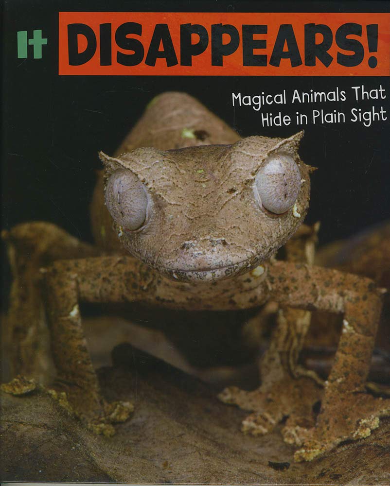It Disappears Magical Animals That Hide by Nikki Potts