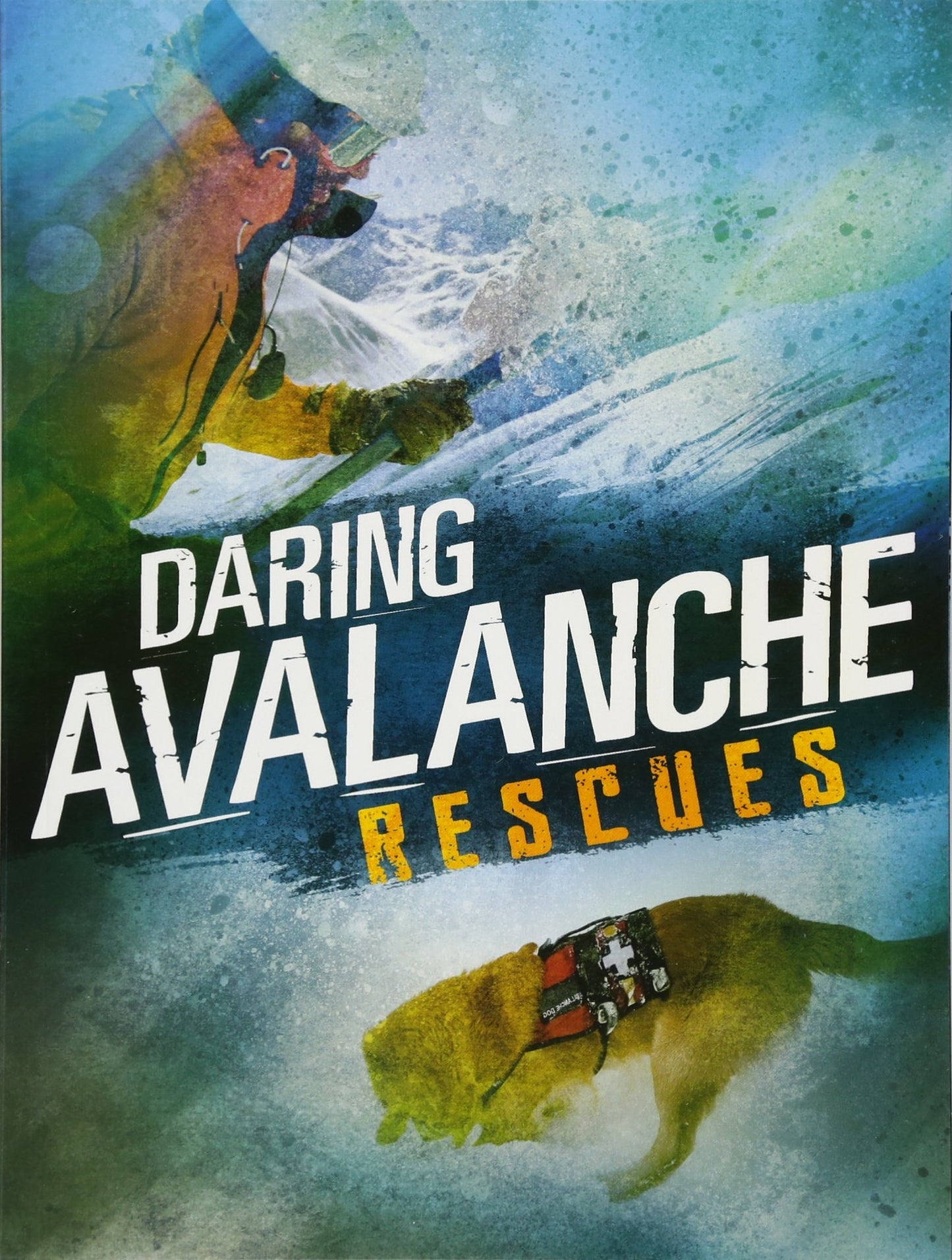 Daring Avalanche Rescues by Amy Waeschle
