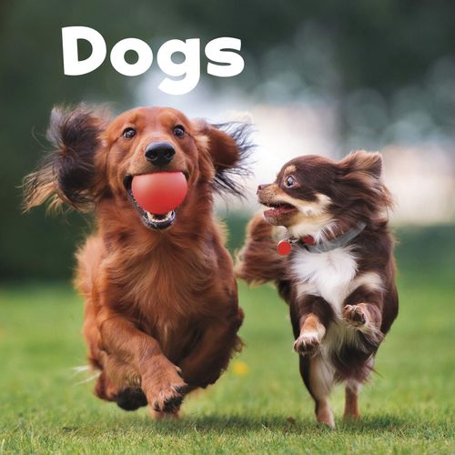 Dogs (Our Pets) by Lisa J. Amstutz