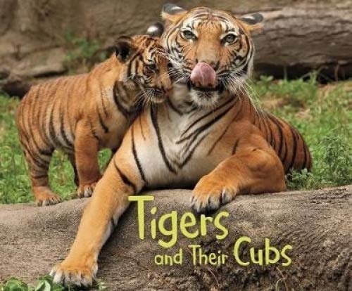 Tigers & Their Cubs by Margaret C. Hall