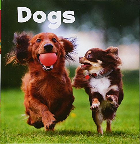 Dogs by Lisa J. Amstutz