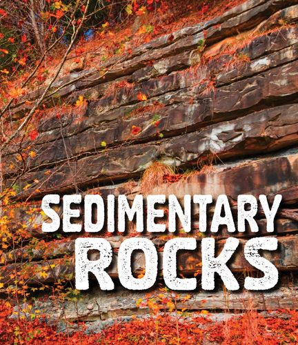Sedimentary Rocks (Fact Finders: Rocks) by Ava Sawyer