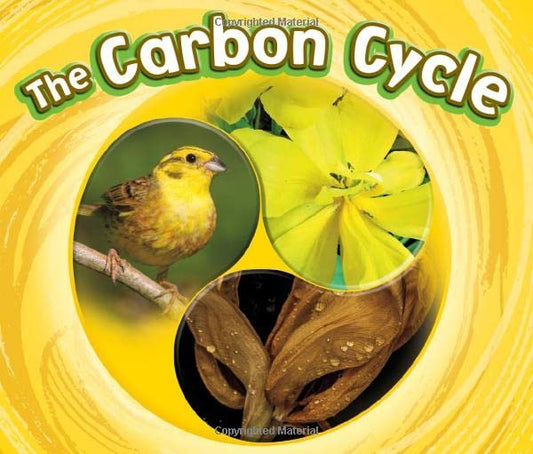 The Carbon Cycle (Cycles of Nature) by Catherine Ipcizade