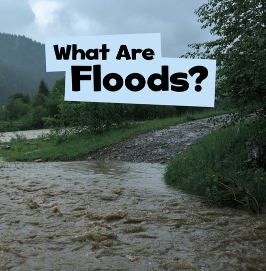 What Are Floods? (Wicked Weather) by Mari Schuh