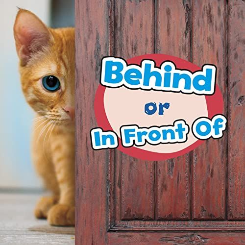 Behind or In Front Of by Wiley Blevins