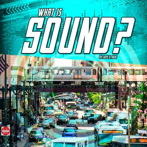 What Is Sound? (First Facts: Science Basics) by Jody S. Rake