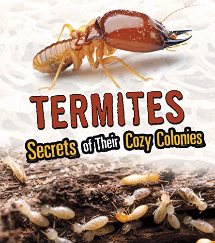 Termites: Secrets of Their Cozy Colonies (Fact Finders: Amazing Animal Colonies) by Rebecca Stefoff