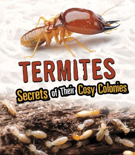 Termites Secrets of Their Cozy Colonies by Rebecca Stefoff