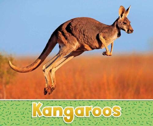 Kangaroos (Pebble Plus: Australian Animals) by Sara Louise Kras