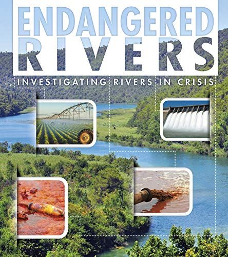 Endangered Rivers: Invest Rivers Crisis by Rani Iyer