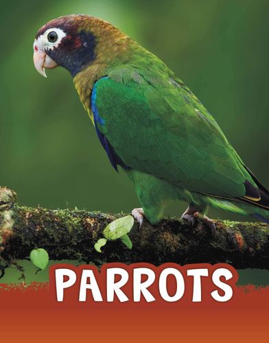 Parrots (Animals) by Mari Schuh