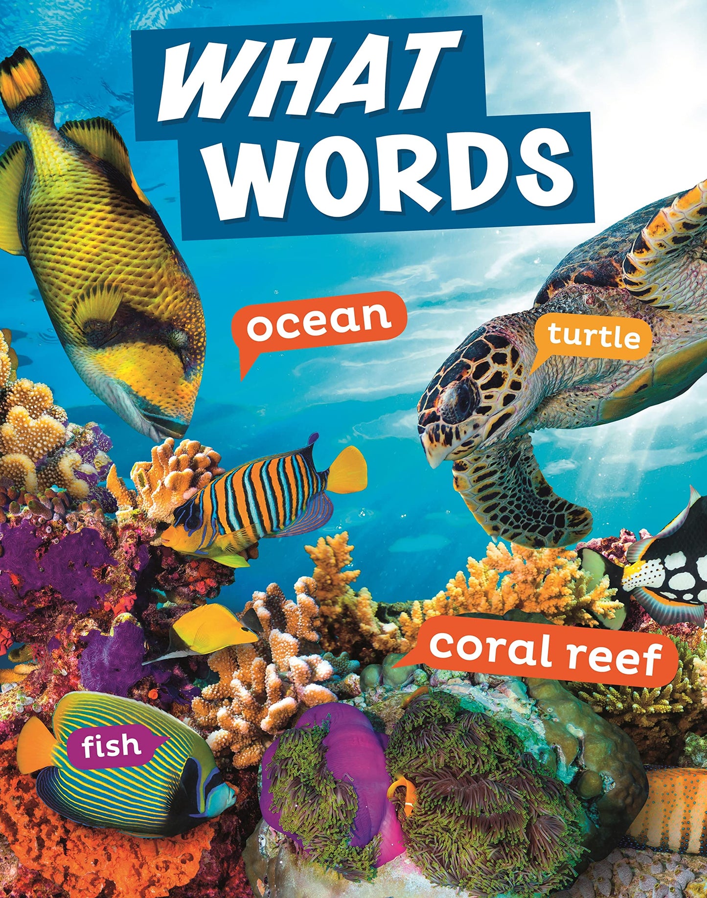 What Words by Carrie B Sheely