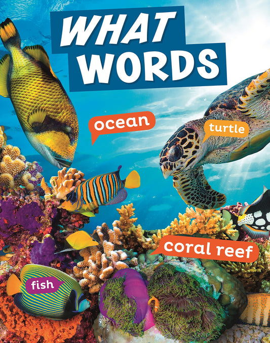 What Words by Carrie B Sheely