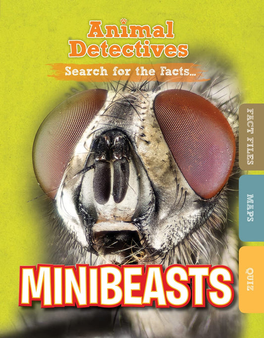 Minibeasts by Anne O'Daly