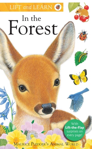 Lift and Learn: In the Forest (Lift & Learn) by A. J. Wood