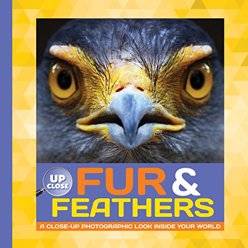Fur & Feathers: A close-up photographic look inside your world (Up Close) by Heidi Fiedler
