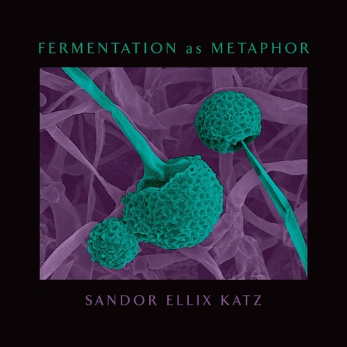 Fermentation as Metaphor: From the Author of the Bestselling 'The Art of Fermentation' by Sandor Ellix Katz