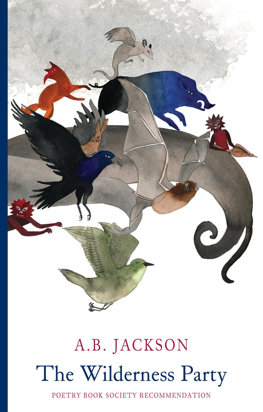 The Wilderness Party by A.B. Jackson