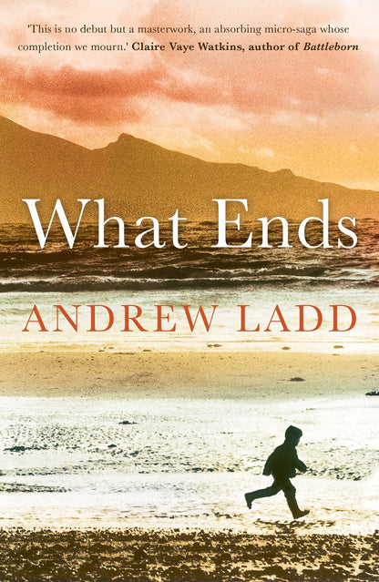 What Ends by Andrew Ladd
