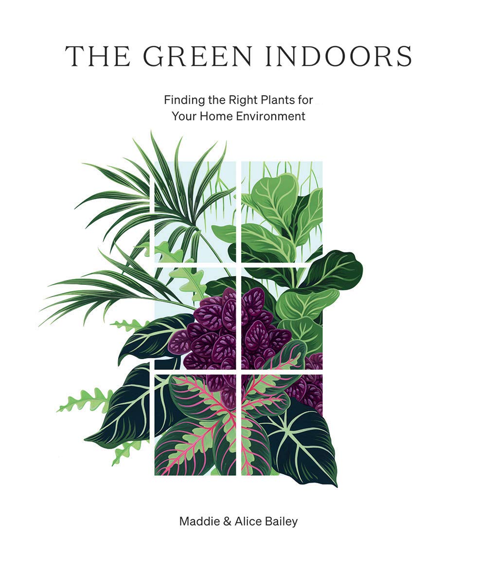 The Green Indoors: Finding the Right Plants for Your Home Environment by Maddie Bailey, Alice Bailey