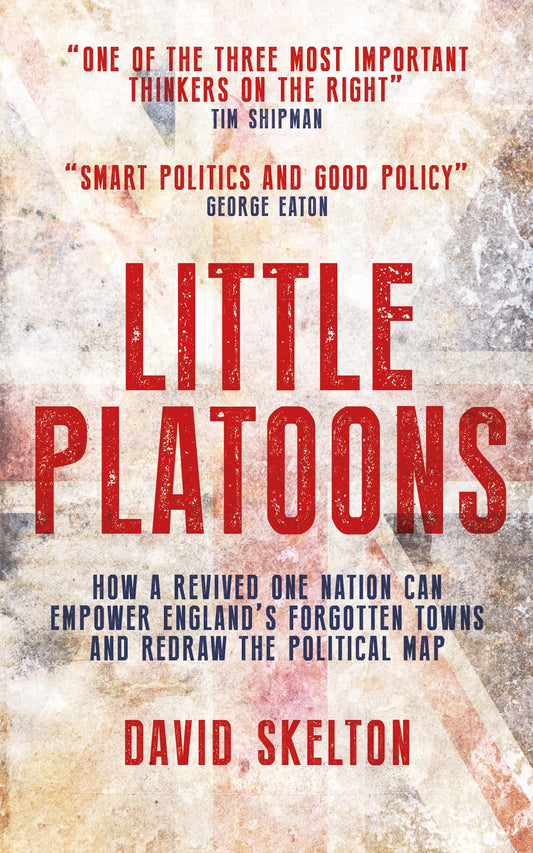 Little Platoons: How a revived One Nation can empower England's forgotten towns and redraw the political map by David Skelton