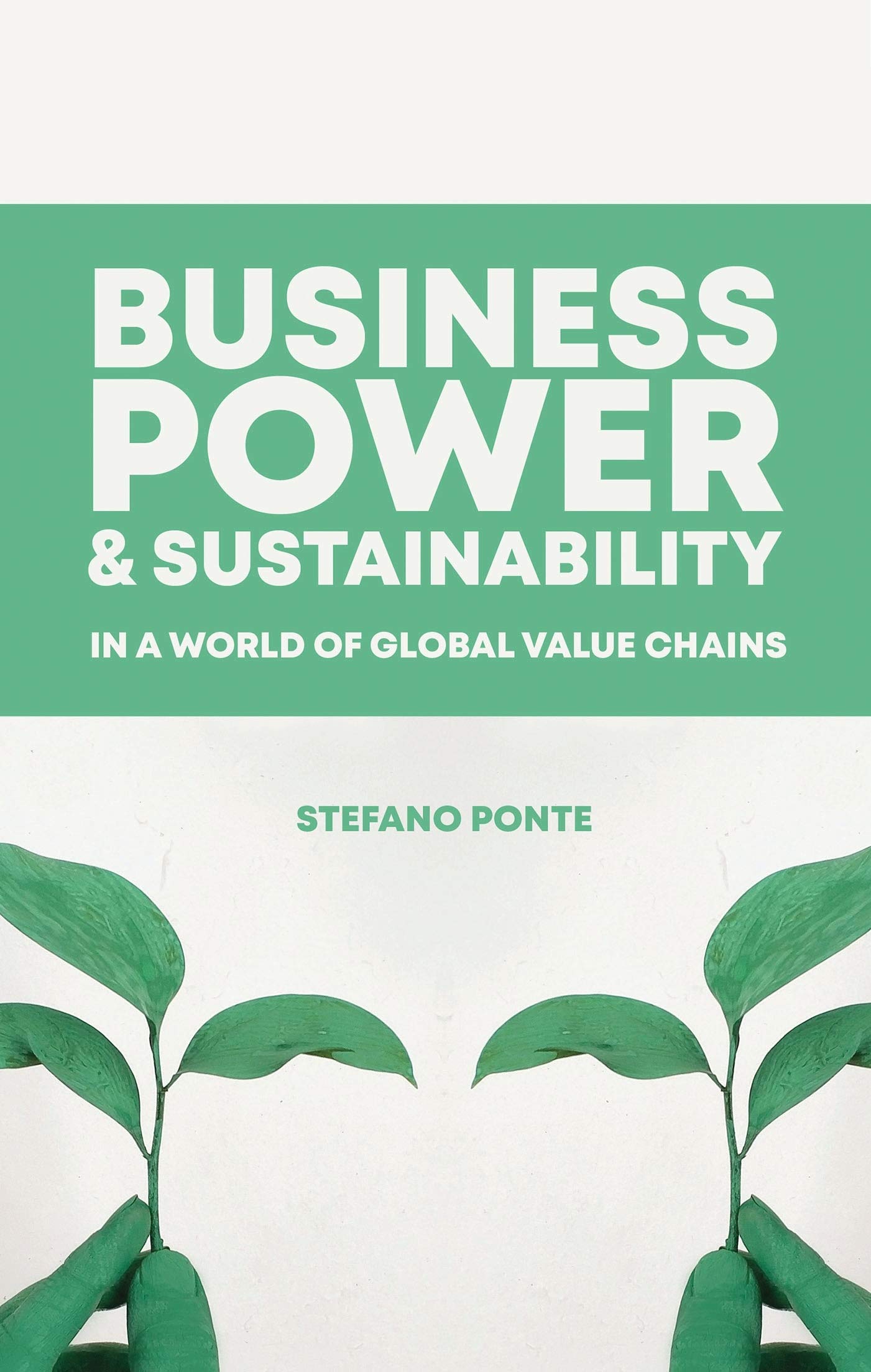 Business, Power and Sustainability in a World of Global Value Chains by Stefano Ponte
