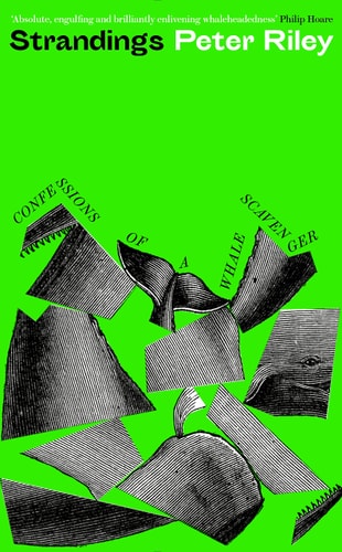 Strandings: Confessions of a Whale Scavenger by Peter Riley