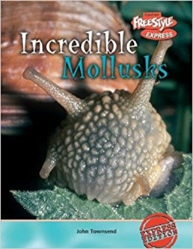 Incredible Molluscs by John Townsend