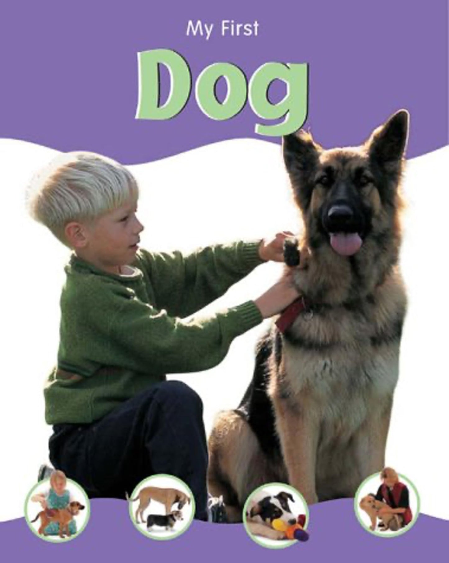 Dog