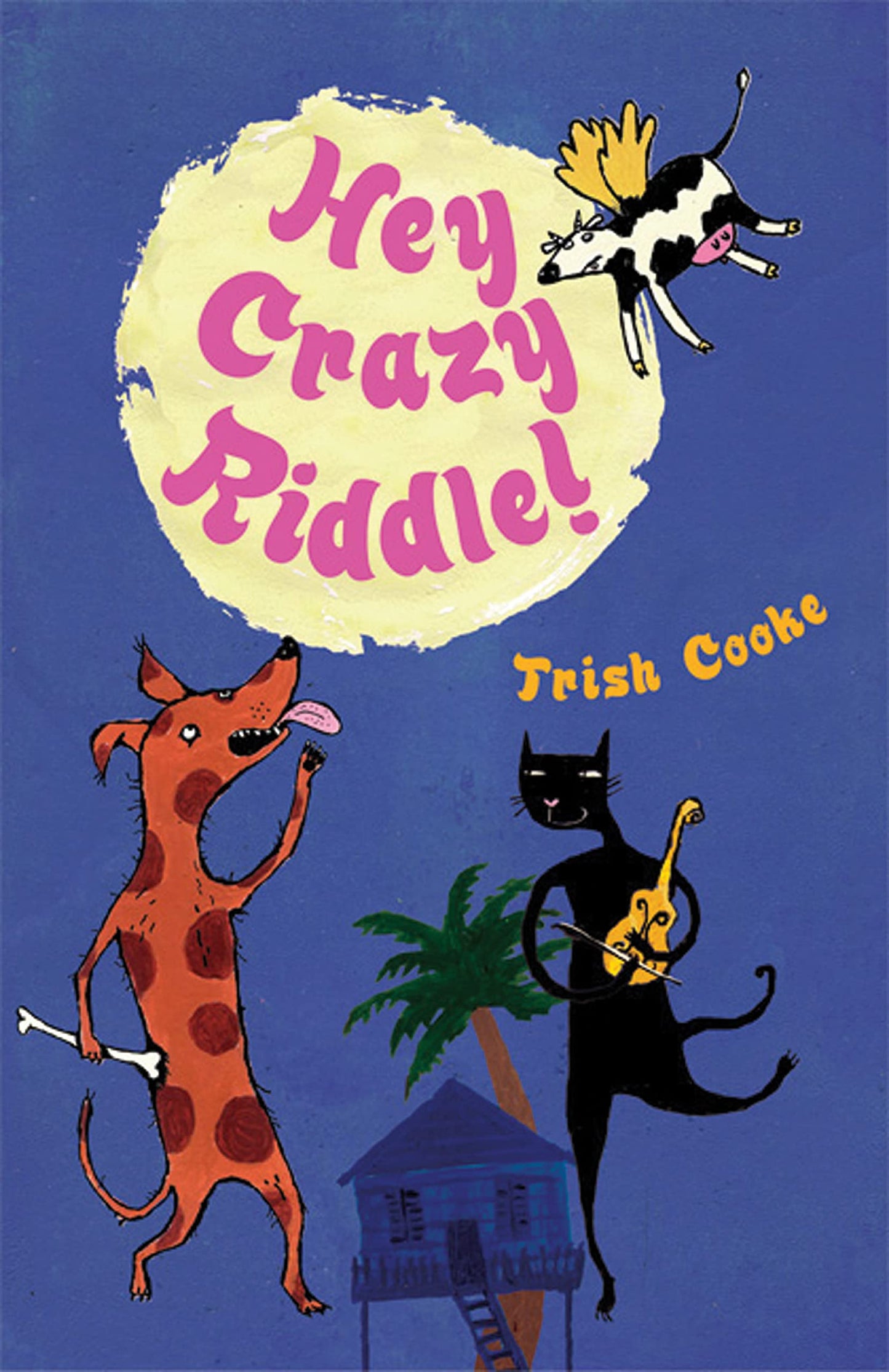 Hey Crazy Riddle by Trish Cooke