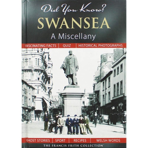 Did You Know? Swansea: A Miscellany