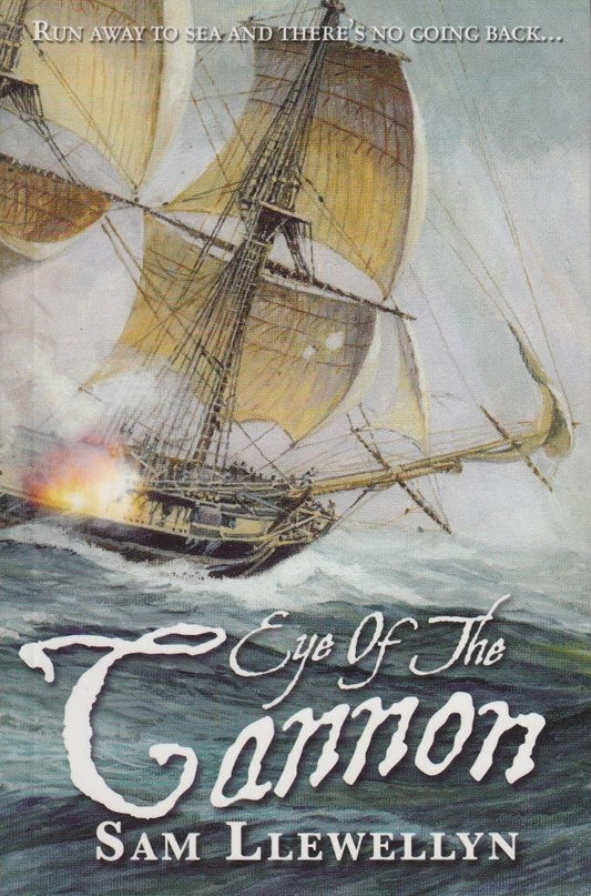 Eye of the Cannon by Sam Llewellyn