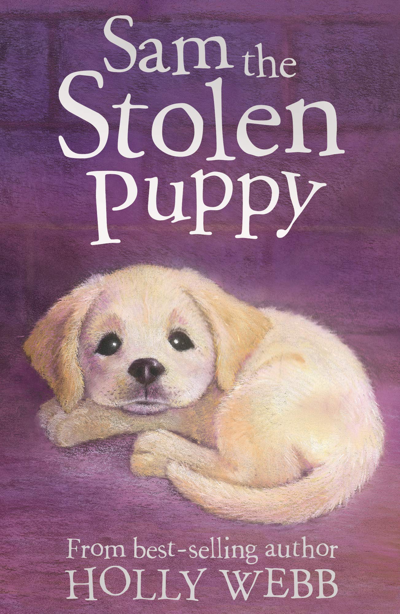 SAM THE STOLEN PUPPY [Paperback] HOLLY WEBB by Holly Webb