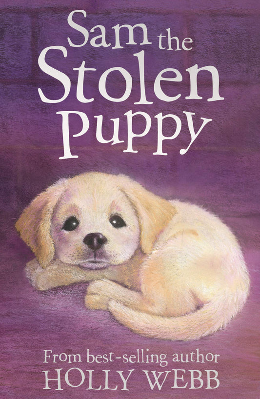 SAM THE STOLEN PUPPY [Paperback] HOLLY WEBB by Holly Webb