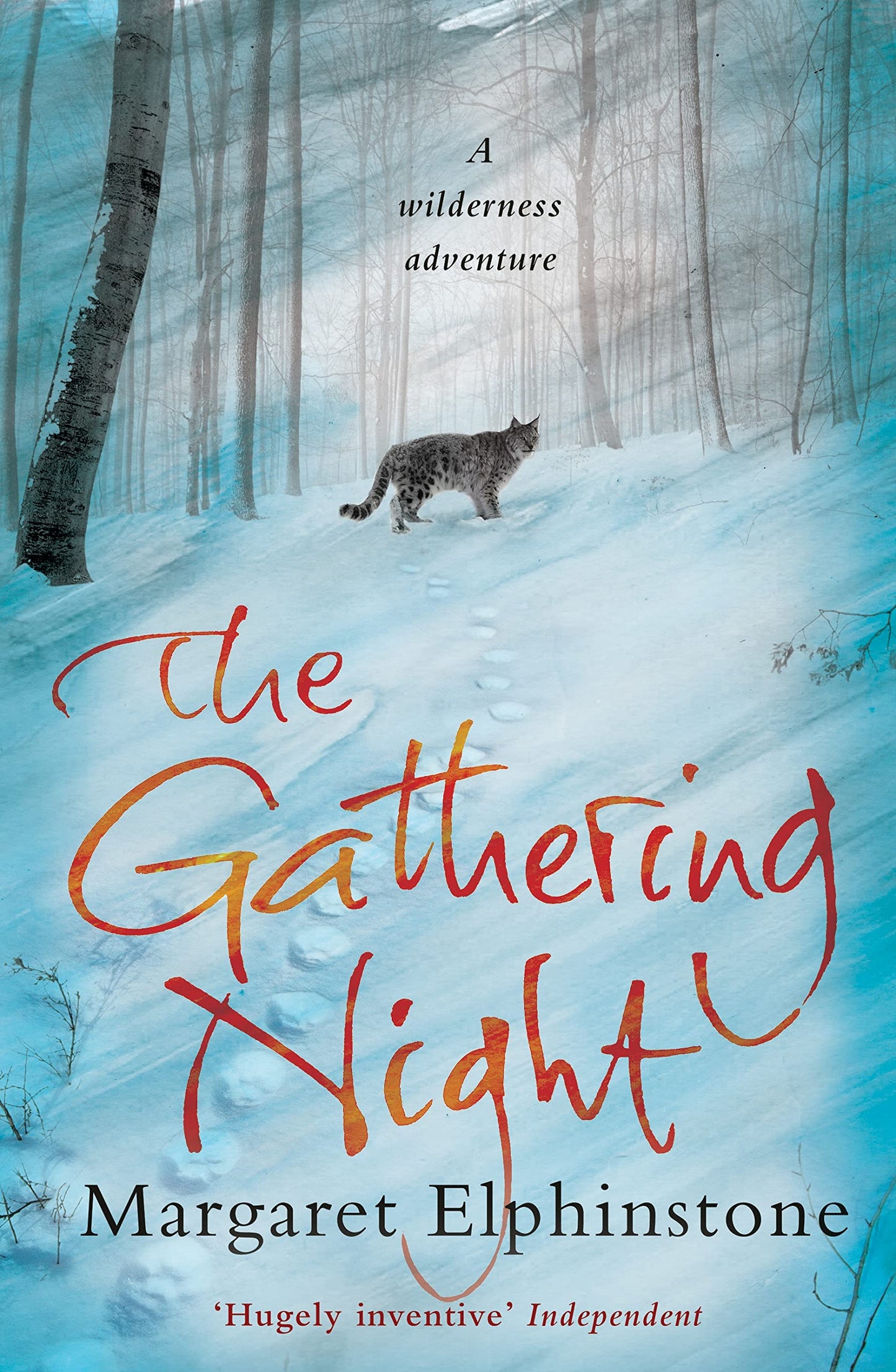 The Gathering Night by Margaret Elphinstone