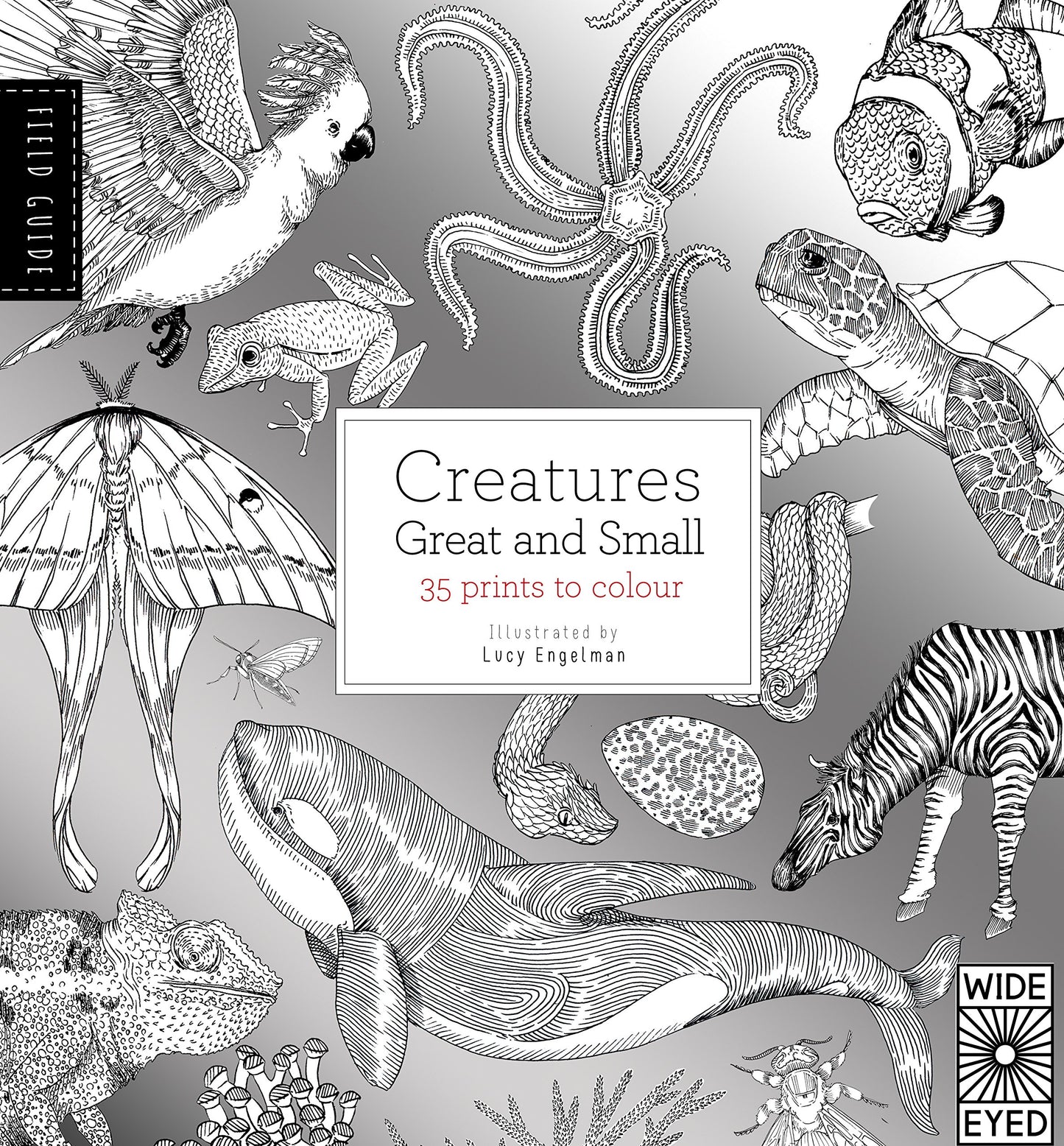 Field Guide: Creatures Great and Small by Valeries Davies, Lucy Engelman