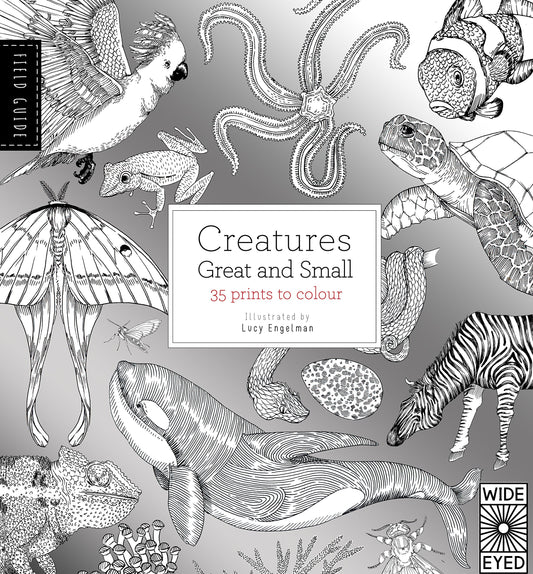 Field Guide: Creatures Great and Small by Valeries Davies, Lucy Engelman