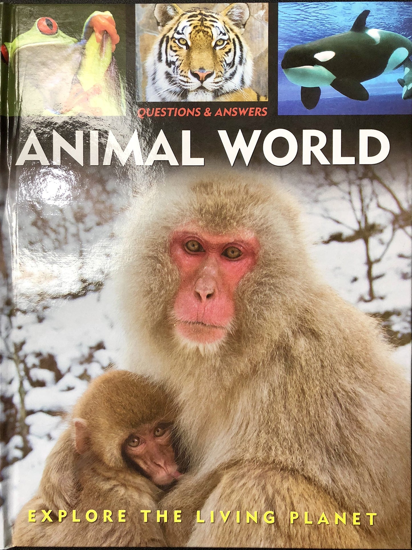 Animal World Questions & Answers by Capella