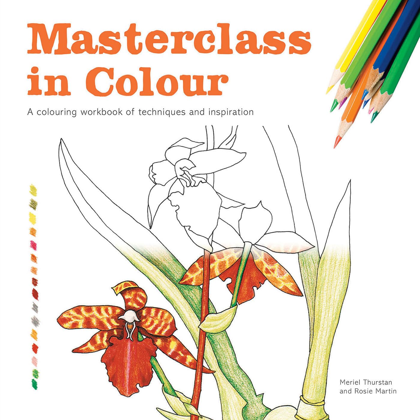 Masterclass in Colour: A Colouring Workbook Of Techniques And Inspiration by Meriel Thurstan, Rosie Martin