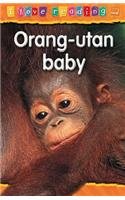 Orang-utan Baby: Orange Reading Level (I Love Reading) by Monica Hughes